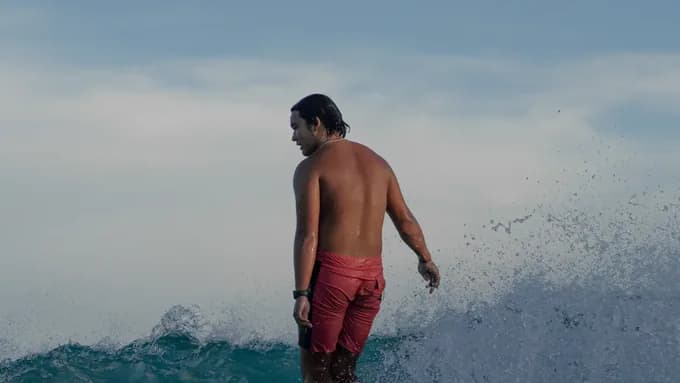 Surfshark review